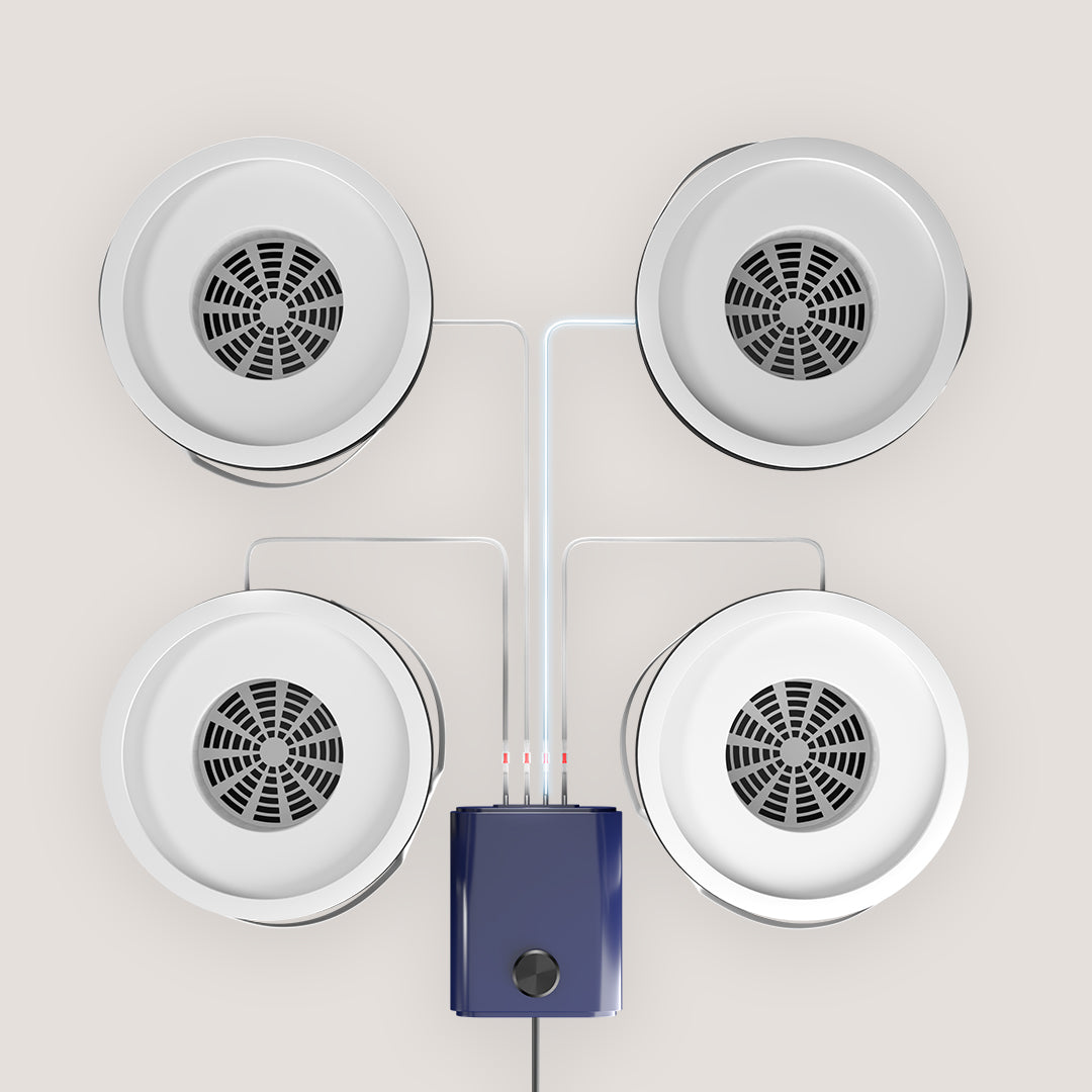 Bloomint Growzelt Komplettset 2.0 mit Hydroponic System - 100 x 100 x 200 cm
