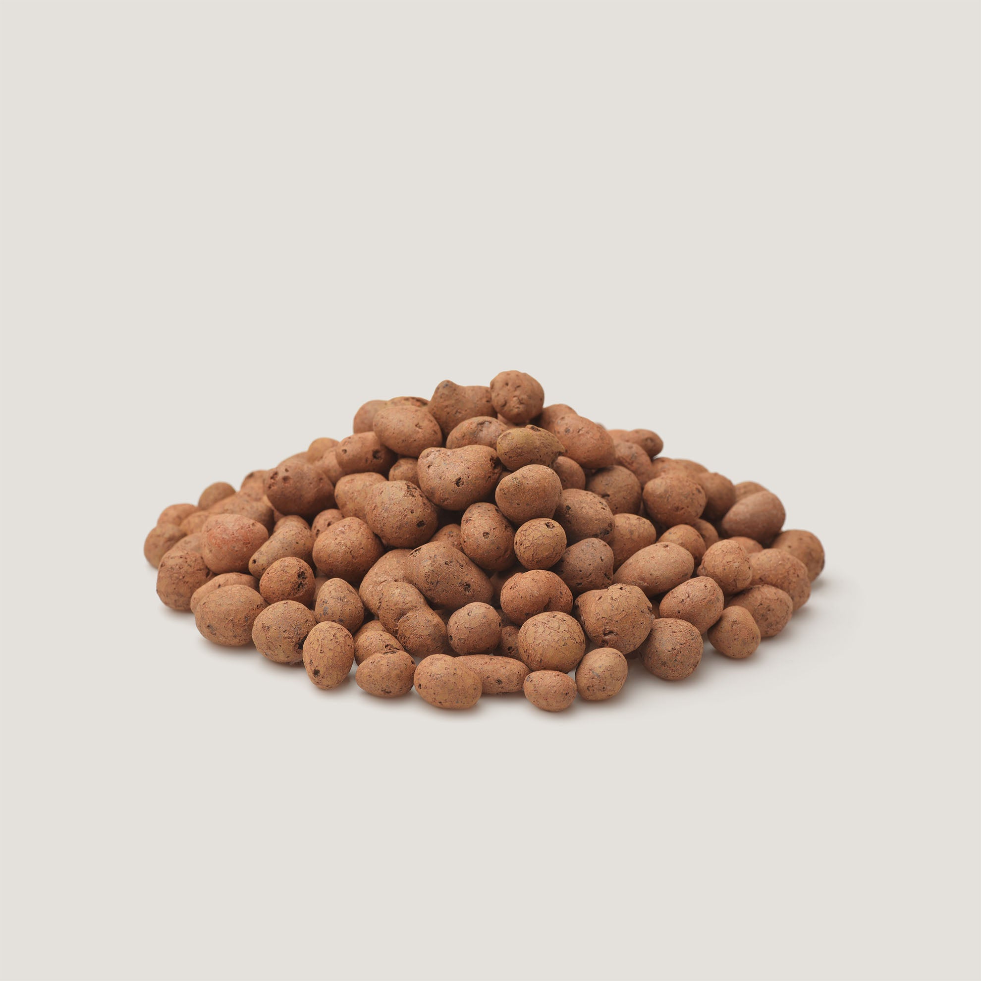 Bloomint Hydroton 2L