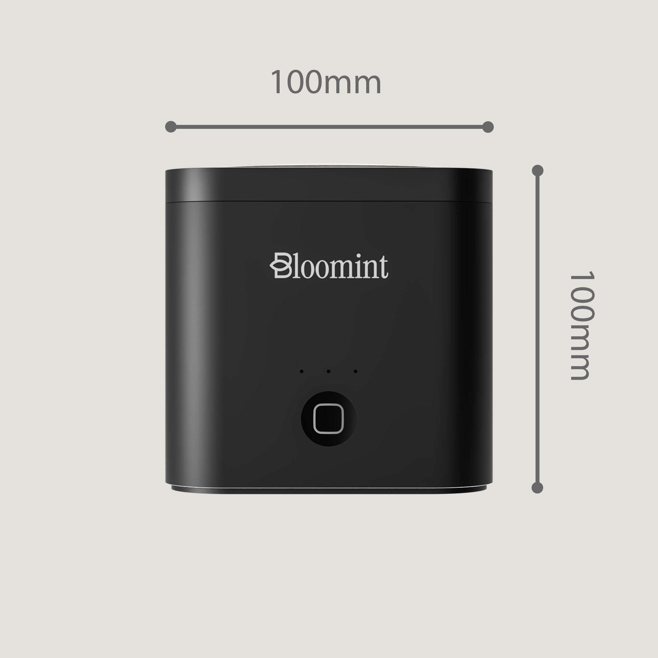 Bloomint UltraClean Ultraschallreiniger Set